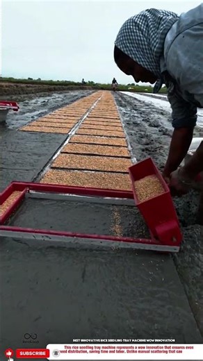 Best Innovative Rice Seedling Tray Machine Wow Innovation
