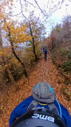 Popski’s secret trail: smalle randjes en switchbacks, stop bovenop de rotsen en eindigen met steile trappen 😄 Zonder kleerscheuren met Sam en de Lakebikers #Mountainbikeguide #singletrails #paysdevesdre | Philippe Poppe