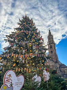 23  Festive Things To Do In Bolzano At Christmas — The Purposely Lost