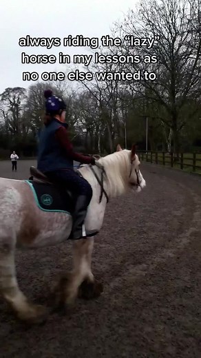 Cute Moments at the Riding School with Edward the Cob