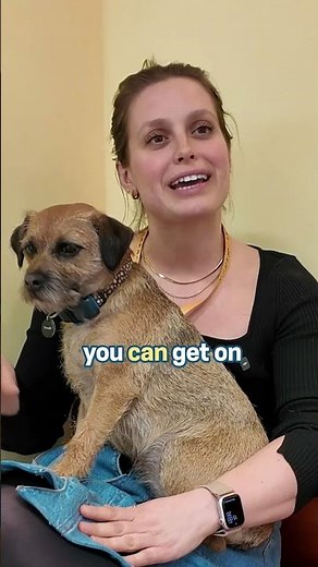 Is A Border Terrier The RIGHT Dog For You?