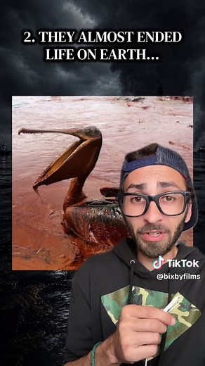 The Deepwater Horizon Tragedy: Oil Spill & Fire