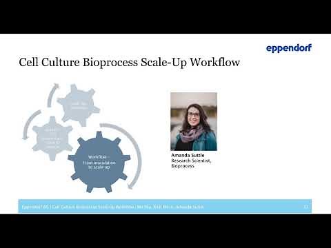 Cell Culture Bioprocess Scale-Up Workflow from Bench to Pilot/Production Scale
