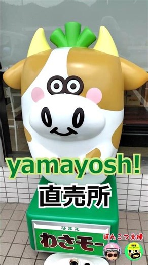 [Wasabeef] 🐮Potato Chip Factory Outlet #ClumsyCoupleTravels #TakedaCastleRuins #YamayoshiSeika