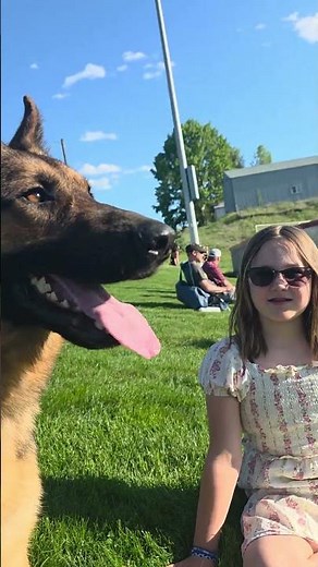 Good temperament in a German Shepherd is important
