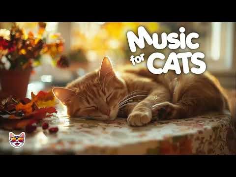Classical music for Cats [study / focus / meditate / purr]