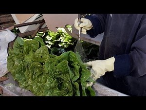 Romaine lettuce warning after E. coli outbreak