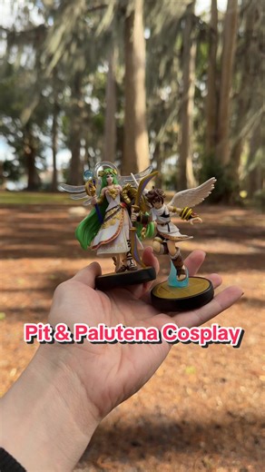 Exciting Weekend Shooting Pit & Palutena Costumes