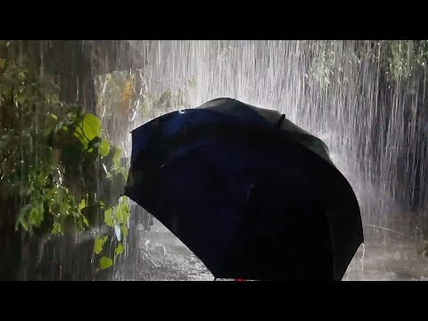 Heavy Rain on Umbrella & Loud Thunder Sounds | Tropical Rain Sounds for Sleeping | Relaxing Rain