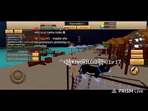 WHAT IS GOING ON... Cat Simulator - Animal Life New Update! Version 1.0.55