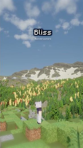 Which Shader Looks THE BEST in Minecraft? #shorts #minecraft