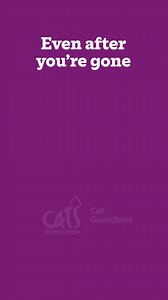Our free Cat Guardians service means the care you give your cat will continue, even if you pass away. Find out more today.  | Cats Protection | Facebook
