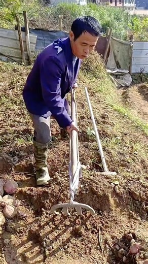 Cultivating Dry Soil Farmer Using a Hand Plow to Till the Earth
