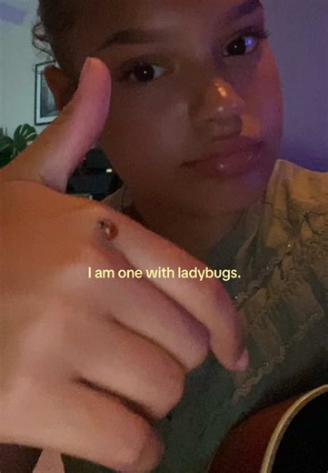 Discover Ladybug Fun Facts and Clips