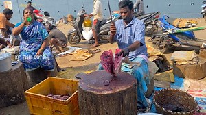 251K views · 2.8K reactions | KF FISH CUTS on Reels | Facebook