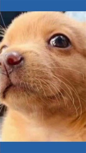 sountrack del canal #cuentaendecadencia