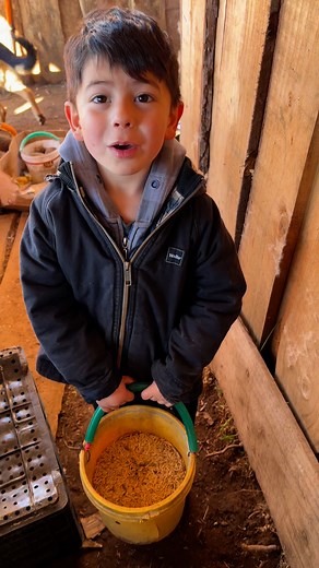 130K views · 3.1K reactions | Feliz mi bebé dándole comidas a sus ovejas @destacar | Alvarito Flores | Facebook