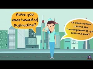 Bioanimation pyrimidine synthesis