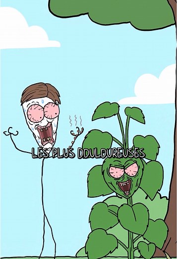 Gympie Gympie : la plante la plus dangereuse du monde