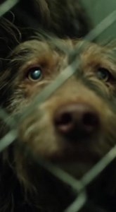 49K views · 1.1K reactions | "Every Family Rejected This Silent...