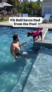 She was scared, but she became a hero at @sniffspots pool day 💦🐾 Use code ✨Cali 5off✨ to treat your pup to their own adventure! #pitbullsofinstagram #funnydogvideos #dogvideos #staffy #sniffspot | Cali the Pit