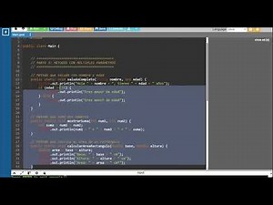 Lección 5 - Métodos y Parámetros en Java: Organiza tu Código como un Profesional | Curso Java