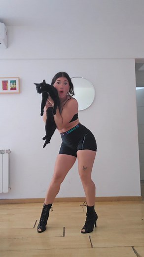 Barbi Siom on Instagram: "Celos del gato 🐈‍⬛"