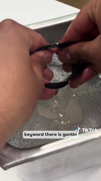 Peace Coffee on TikTok