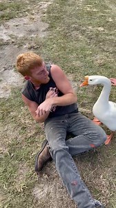 6.7K reactions · 2K shares | 藍浪 Played a intense game of duck 閭duck 閭 goose 廉today! *No animals were harmed during this video #duckduckgoose #mikeymayhem #MonsterTruckz #gardenmotorsports | Mikey Mayhem | Facebook