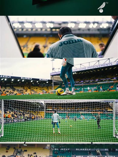 Norwich City EFL Highlights and Insights