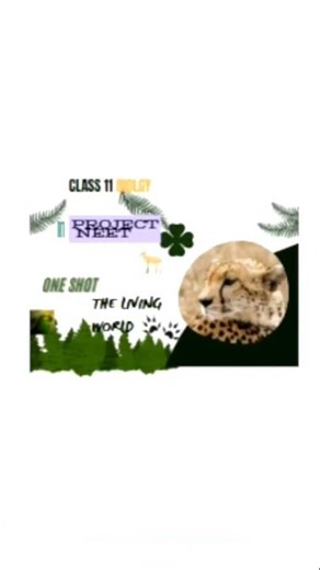 NEET Biology Chapter 1 – The Living World | Fast Revision