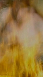 Filmmaker Roni Jo Draper (Yurok) captures the power of Indigenous practices in Fire Tender, highlighting how Native women use fire to heal and nurture the land. The film underscores our collective responsibility to care for the Earth, our shared home. #FireTender #NativeAmerican #Indigenous #Fire #Forest #Culture #BasketWeaving #Filmmaker Reposted from @voiceinalaska | Pittsburgh Lesbian Correspondents