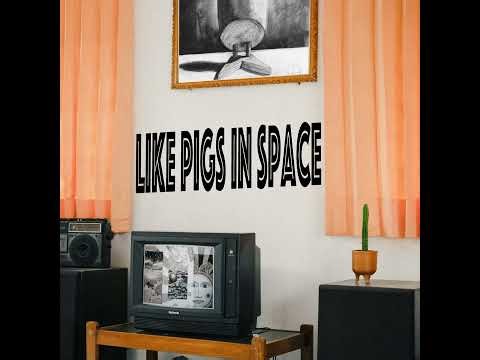 LPIS 10: Field Report 1