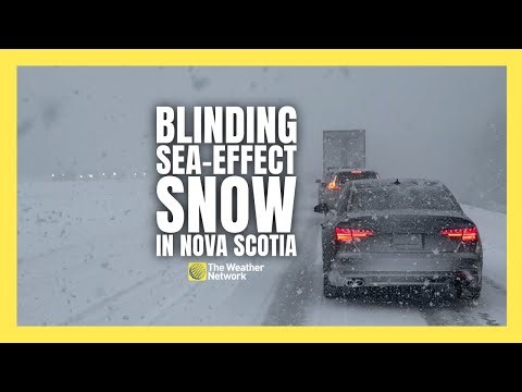 Sea-Effect Snow Snarls Traffic, Buries Roads in Nova Scotia