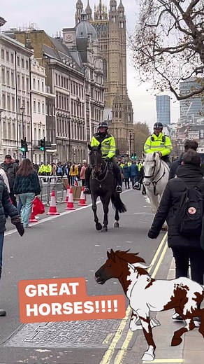 14K views · 1.2K reactions | Beautiful Police Horses on patrol!!!!! gorgeous !!!!!! #policeofficer #trendingreels2023 #reelsinstagram #amigo #amigas #caballos #greathorses #horses #horsesonpatrol #policehorses #policeofficer #trendingreels2023 #london | Kings Finest Horses & LifeGuards | Facebook
