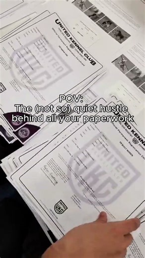 Hear that? That’s the sound of your paperwork being processed within 10 days of receipt 🙌🏻🙌🏻