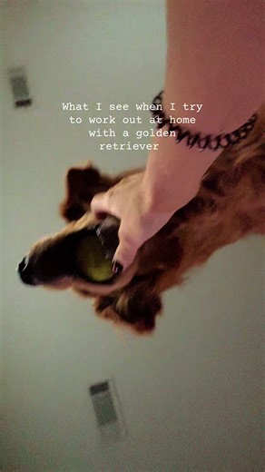 I just know she’s helping me somehow #goldenretriever #petsoftiktok #dogsoftiktok #cute #workoutmotivation