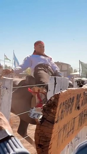 Tingo Barrios on Reels