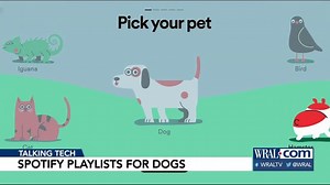 Talking Tech: Spotify creates a playlist for pets