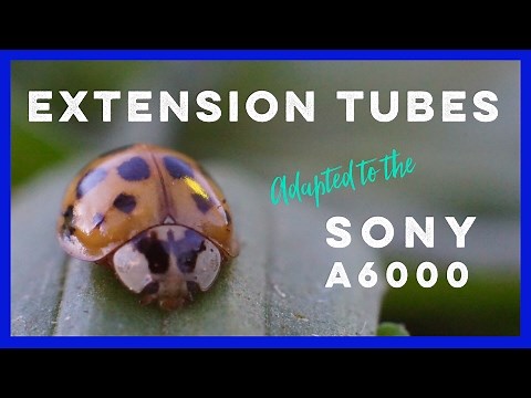 Go Macro With Extension Tubes Adapted To The Sony A6000