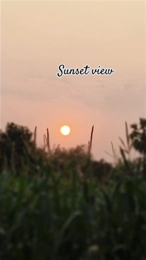 sunset#love #shortsviral #melodymood#@thaswika745...