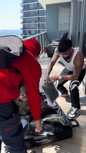 Ovi: La Vida de un Gangster en la Disco y Más