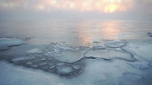 22K views · 27 reactions | Report: Signs and impacts of climate change are accelerating. | Scripps News | Facebook