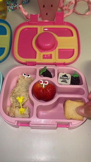 Lonche para mis niños pollo con papa y arroz. -#parati #lonche