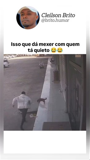 Cleilson Brito | Viral | O texugo-do-mel (Mellivora capensis) é um dos casos mais fascinantes de adaptação evolutiva na natureza. Ele é famoso por enfrentar algumas... | Instagram