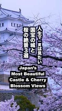 人生で一度は見たい！国宝の城と桜の絶景３選 Japan’s Most Beautiful Castle & Cherry Blossom Views 姫路城 彦根城 #城と桜#桜の名所#sakura