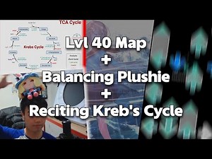Reciting Krebs' Cycle while balancing a plushie on my head and playing a 40 diff map on Quaver
