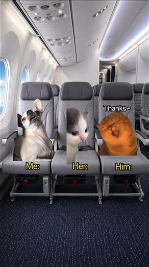 You're seated next to THAT couple on the plane...