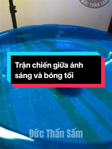 Trận đấu giữa ánh sáng và bóng tối: Cuộc chiến con quay