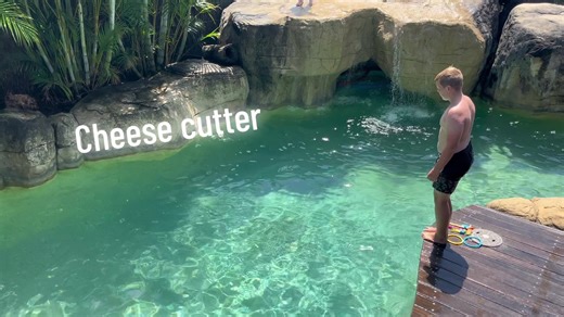 #chesse🧀cutter#manu@🇼🇸